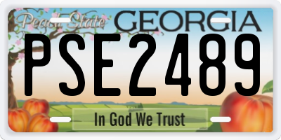 GA license plate PSE2489