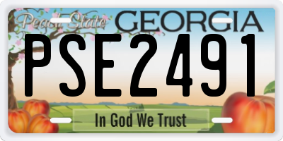 GA license plate PSE2491