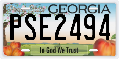 GA license plate PSE2494