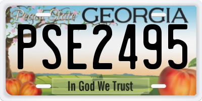 GA license plate PSE2495