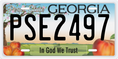 GA license plate PSE2497