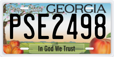 GA license plate PSE2498