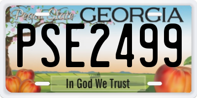 GA license plate PSE2499