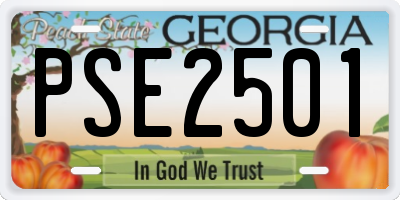 GA license plate PSE2501