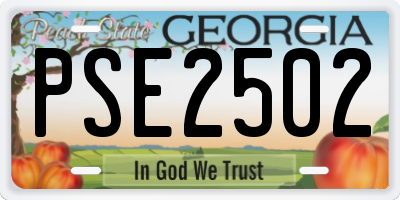 GA license plate PSE2502