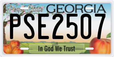 GA license plate PSE2507