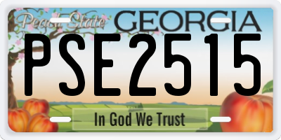 GA license plate PSE2515