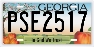 GA license plate PSE2517