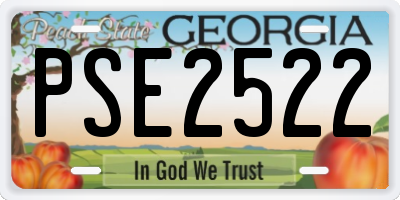 GA license plate PSE2522