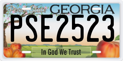 GA license plate PSE2523