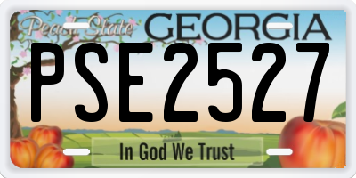 GA license plate PSE2527