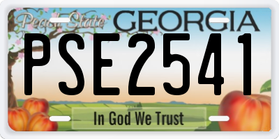GA license plate PSE2541