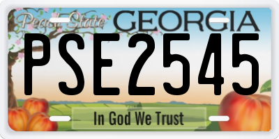 GA license plate PSE2545