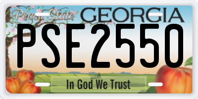 GA license plate PSE2550