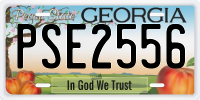 GA license plate PSE2556