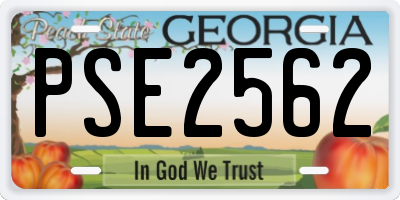 GA license plate PSE2562