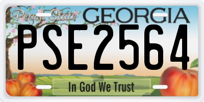 GA license plate PSE2564