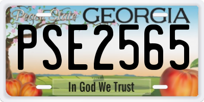 GA license plate PSE2565