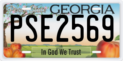 GA license plate PSE2569
