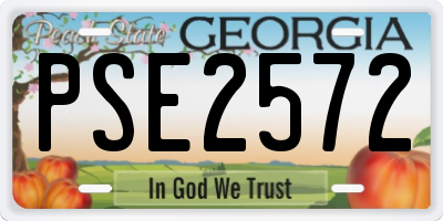 GA license plate PSE2572