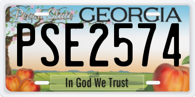GA license plate PSE2574