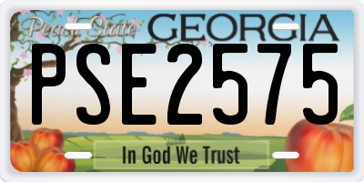 GA license plate PSE2575