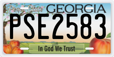 GA license plate PSE2583
