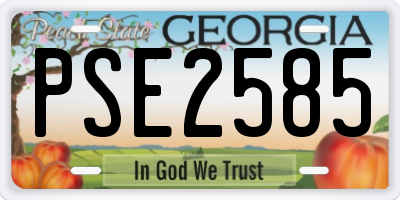 GA license plate PSE2585