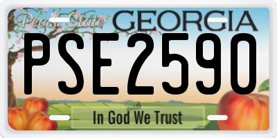 GA license plate PSE2590