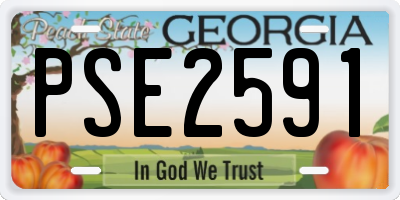 GA license plate PSE2591