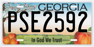 GA license plate PSE2592