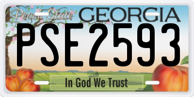 GA license plate PSE2593