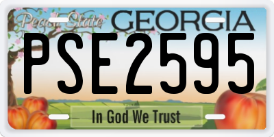 GA license plate PSE2595