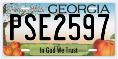 GA license plate PSE2597