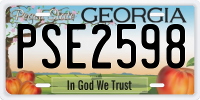 GA license plate PSE2598