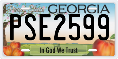 GA license plate PSE2599