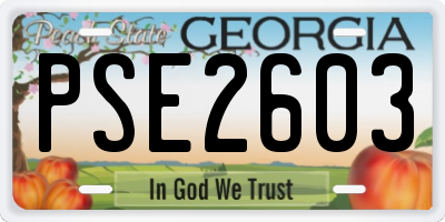 GA license plate PSE2603