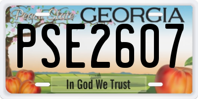 GA license plate PSE2607