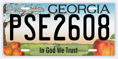 GA license plate PSE2608