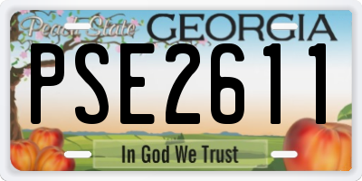 GA license plate PSE2611