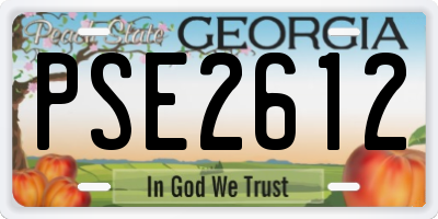 GA license plate PSE2612