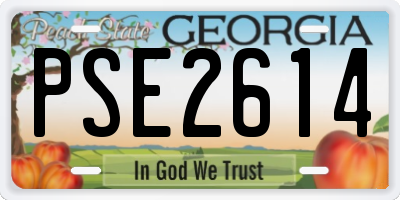 GA license plate PSE2614