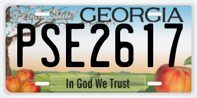 GA license plate PSE2617
