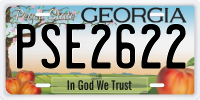 GA license plate PSE2622