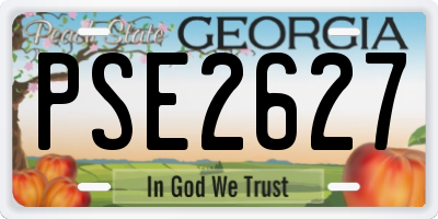 GA license plate PSE2627