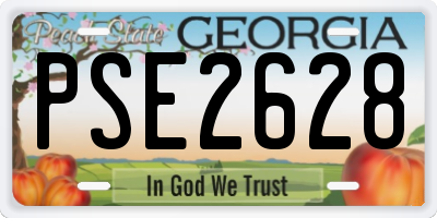 GA license plate PSE2628