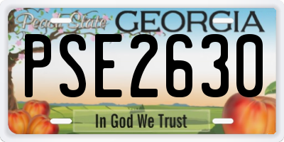 GA license plate PSE2630