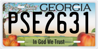 GA license plate PSE2631