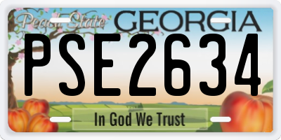 GA license plate PSE2634