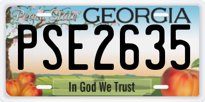 GA license plate PSE2635